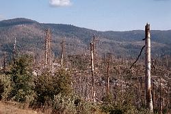 USA 1997 016