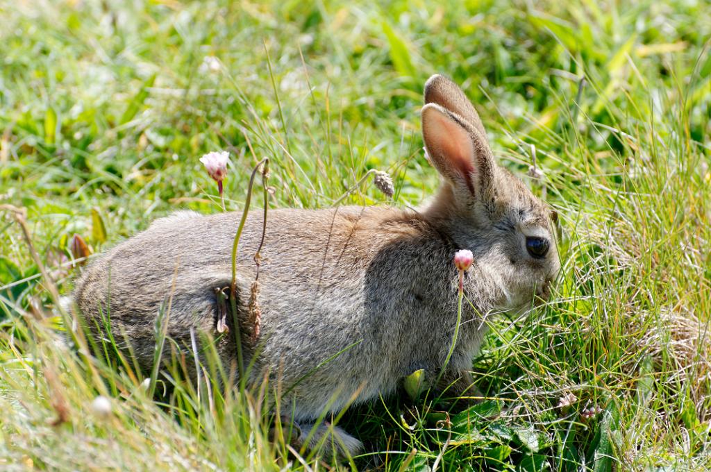 DSC_4128a.jpg