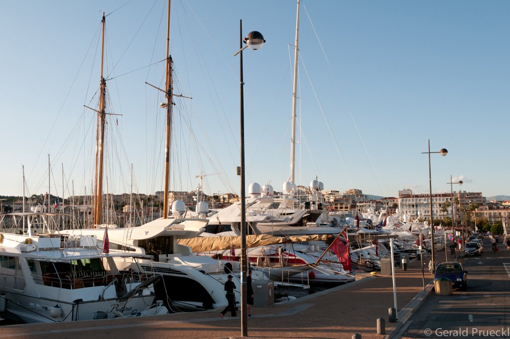 DSC_6537.jpg