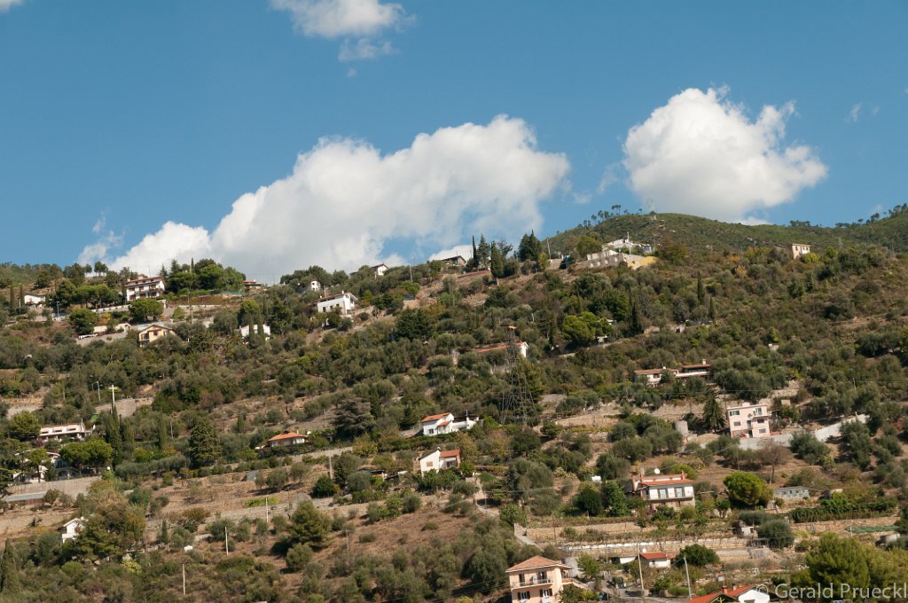 DSC_6616.jpg