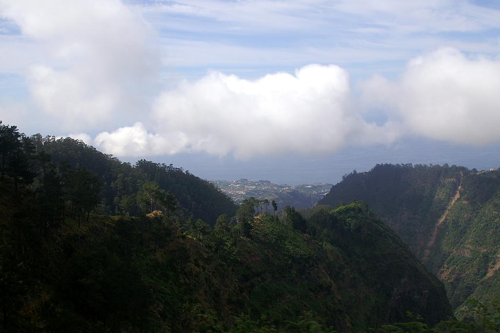 PICT3963a.jpg