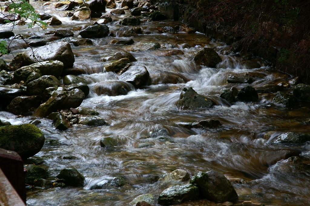 PICT8628a.jpg - I Z C   ; U r l a u b ; S c h o t t l a n d ;