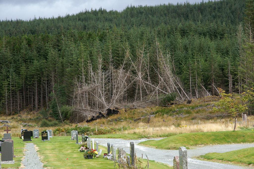 PICT8668a.jpg - I Z C   ; U r l a u b ; S c h o t t l a n d ;