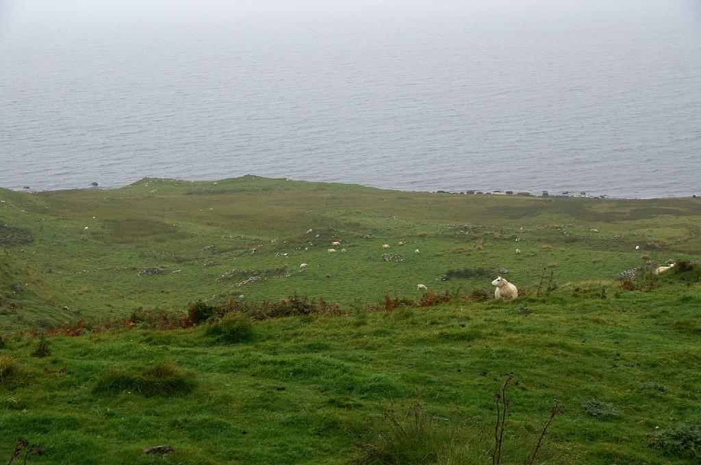 PICT8674a.jpg - I Z C   ; U r l a u b ; S c h o t t l a n d ;